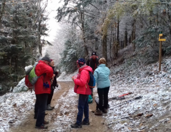 Chapelle de St Bonnet